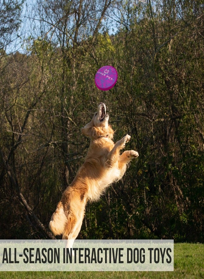 هايبر بيت لعبة هايبر بيت فليبي فلوبر، قرص طائر ناعم للكلاب مقاس 9 بوصات، يطفو على الماء وآمن على الأسنان، عبوة من قطعة واحدة، تصميم دوامة أرجوانية - Image 5